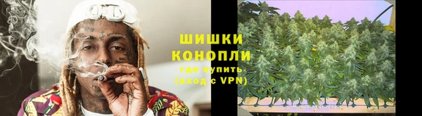 шишки Алзамай