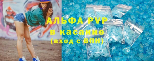 шишки Алзамай