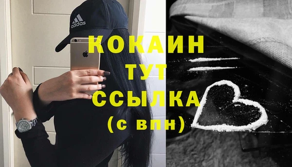дмт Каменногорск