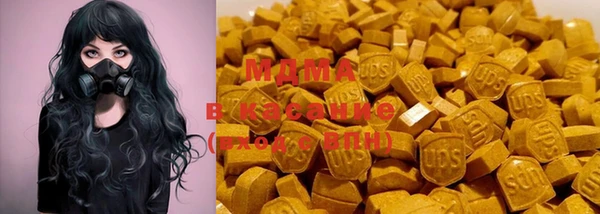 шишки Алзамай