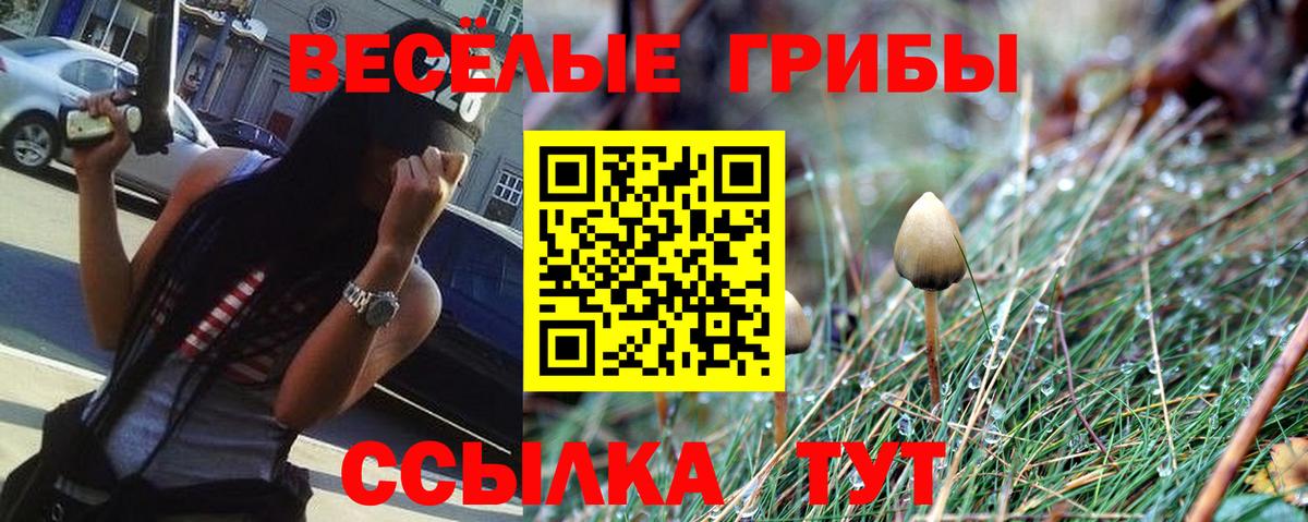 Псилоцибиновые грибы Cubensis  Вход с VPN  Лесосибирск  Псилоцибиновые грибы прущие грибы 