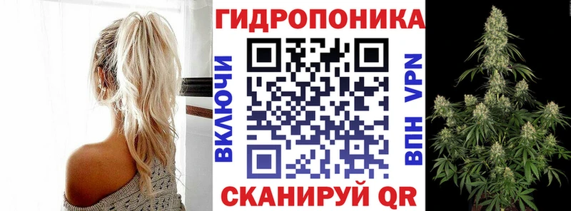 Каннабис план Лесосибирск